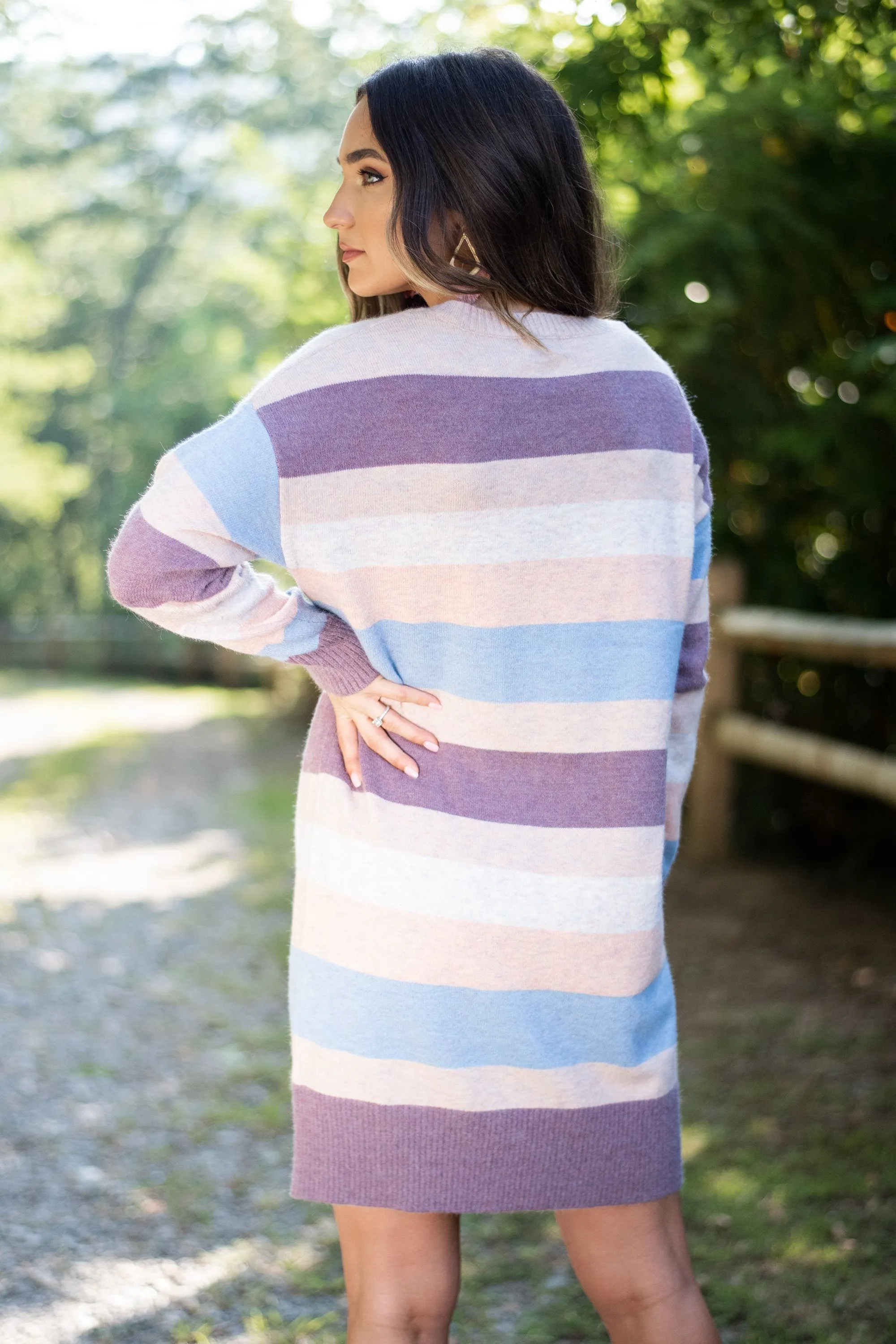 Lasting Love Mauve Multi Striped Dress